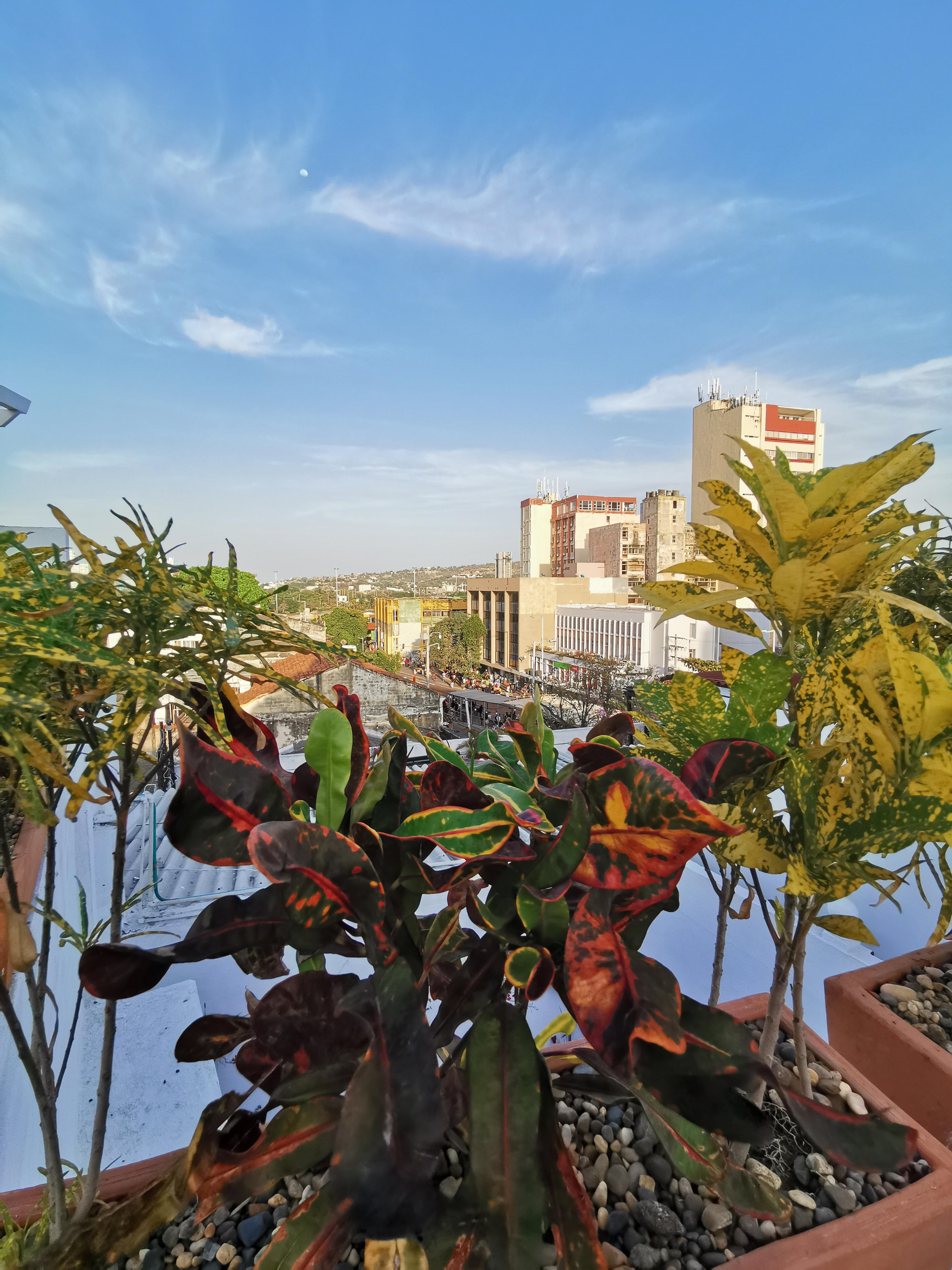 Luka Cartagena Hotel ภายนอก รูปภาพ
